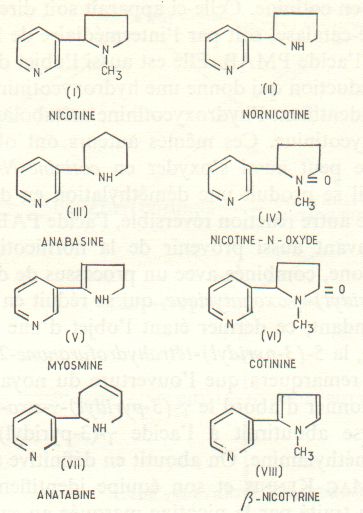 molecules_nicotine.jpg (29994 octets)